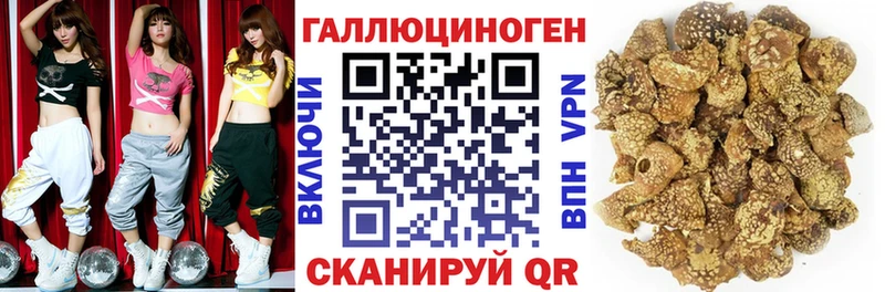 Галлюциногенные грибы Psilocybine cubensis  купить наркотик  Чёрмоз 
